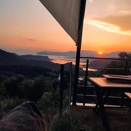 Dreamlife Villa
